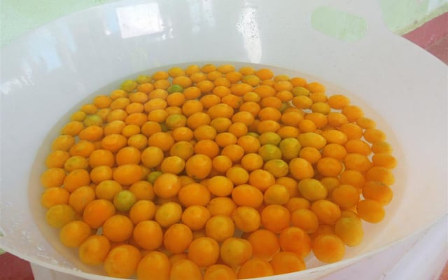 Geleia de Umbu-cajá