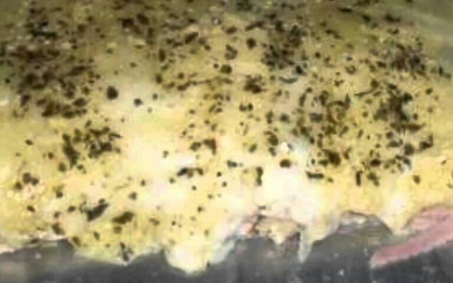 Misto quente gratinado