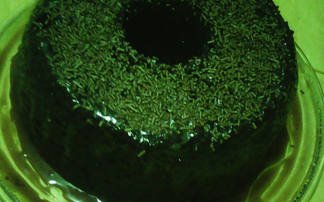 Bolo de chocolate de microondas