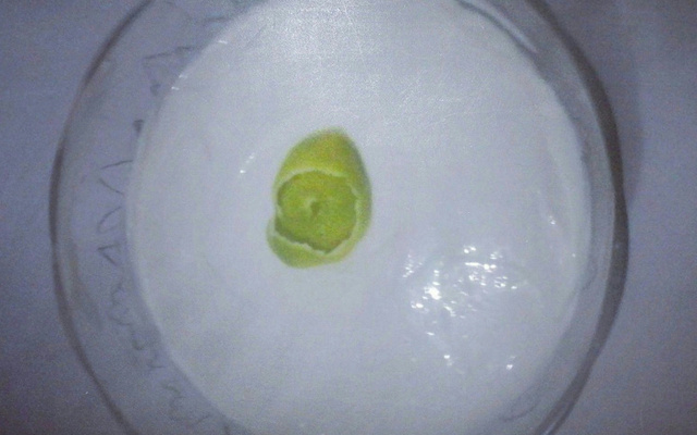 Mousse de leite em pó