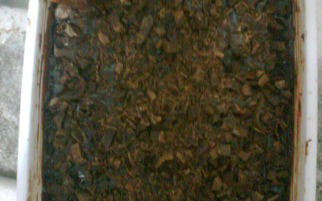 Pavê de brigadeiro trufado