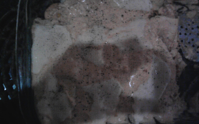 Panqueca de frango ao molho rosé