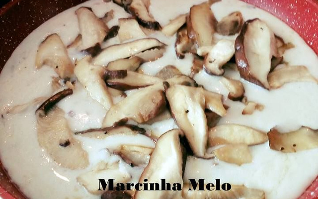 Molho branco com shitake