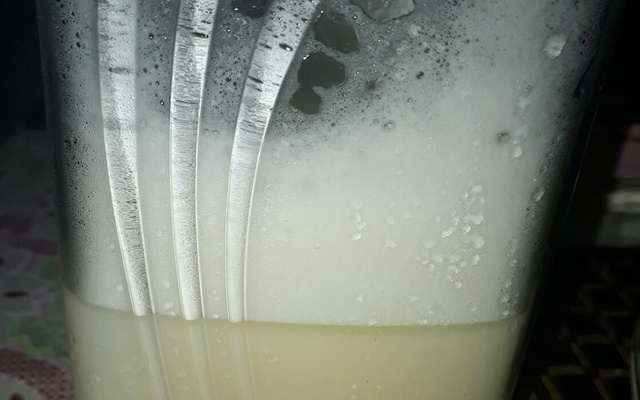 Leite fermentado kefir (natural)