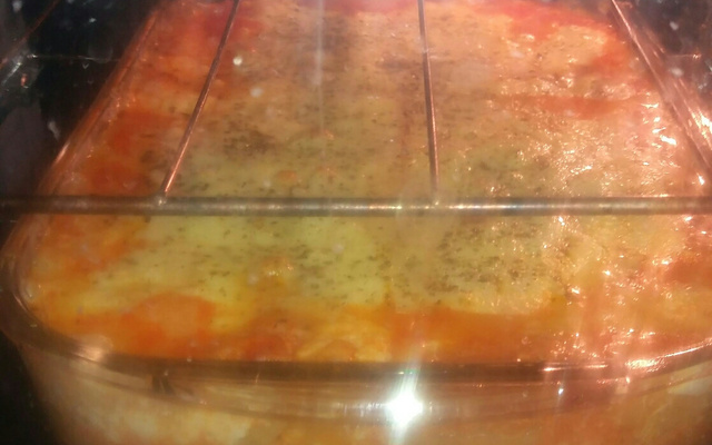 Lasanha de frango especial