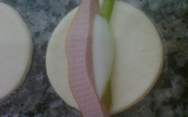 Enroladinho sertanejo