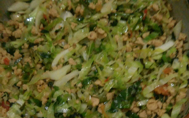 Repolho refogado com carne de soja