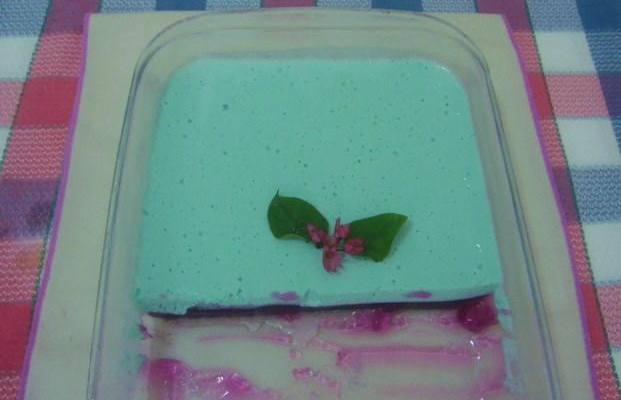 Gelatina Cremosa Bicolor