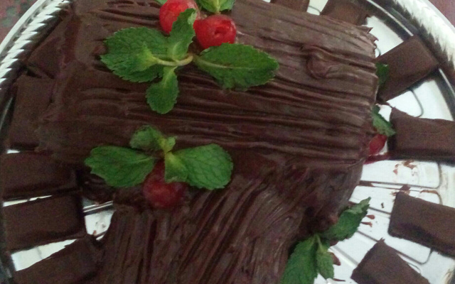 Tronco de Natal (especialmente para o dia de Natal)