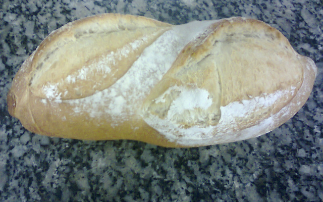 Panhoca com  queijo gorgonzola