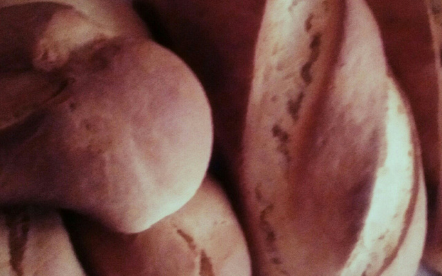 Pão de leite de liquidificador