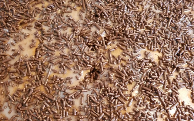 Bolo simples de chocolate