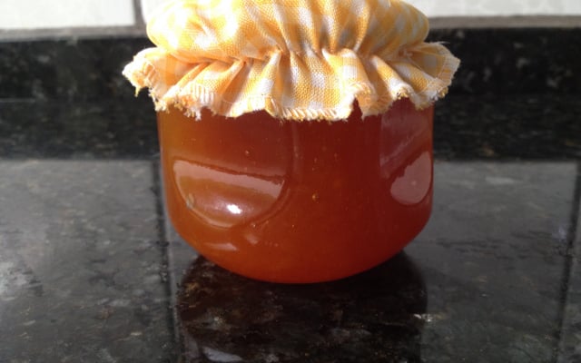 Geleia de damasco da Meguinha Skaetta