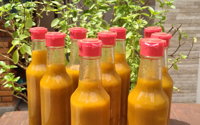 Molho de pimenta malagueta