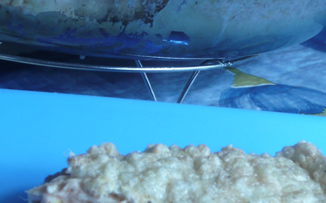 Torta de frango fácil