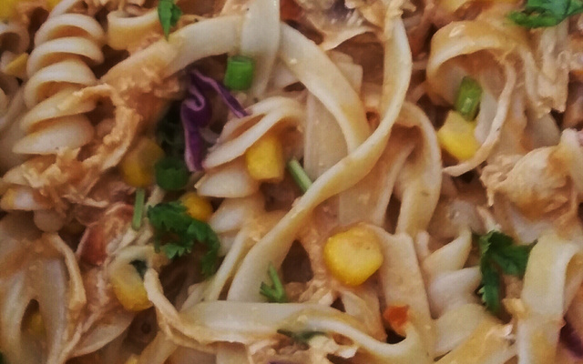 Macarronada de frango com creme de leite