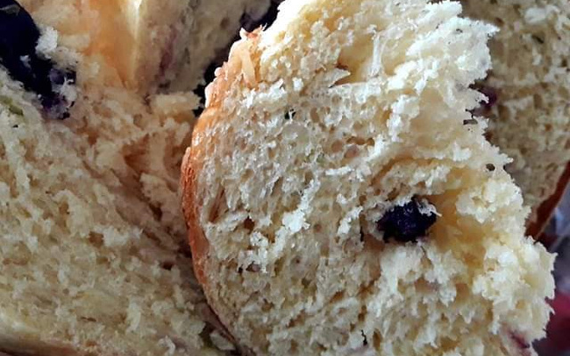 Panetone salgado Salgatone