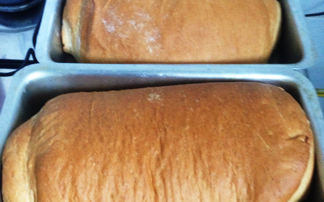 Pão caseiro sem ovo