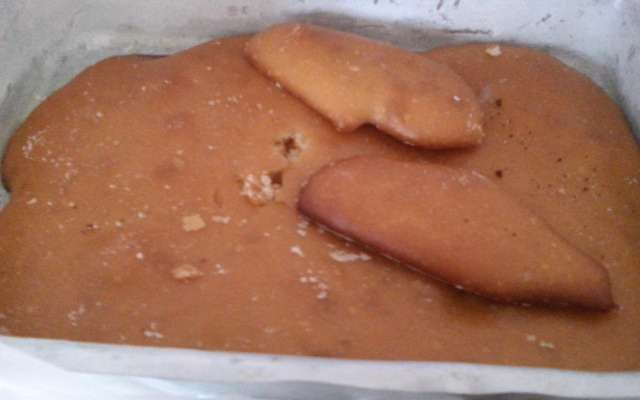 Pão do Camilo (não precisa sovar)