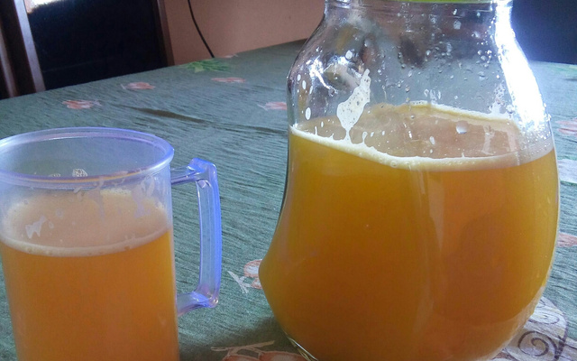 Refrigerante caseiro