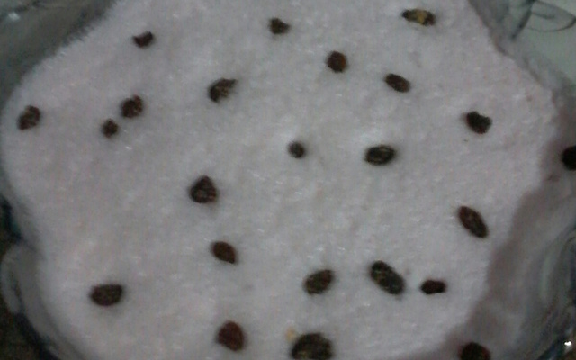 Mousse de uva de gelatina