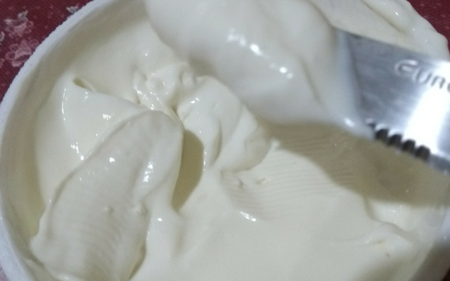 Requeijão de iogurte sem conservantes