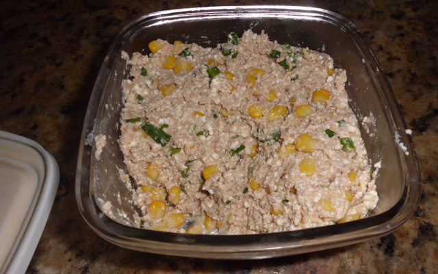 Patê de atum com ricota da Marcia Sabino