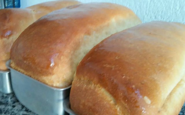 Pão Caseiro Fofinho