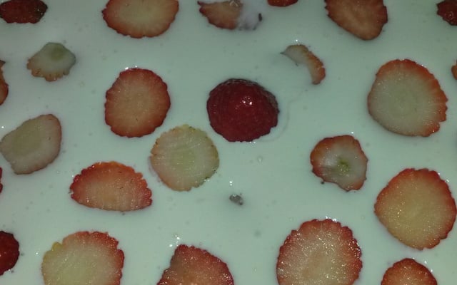 Chapisco de chocolate