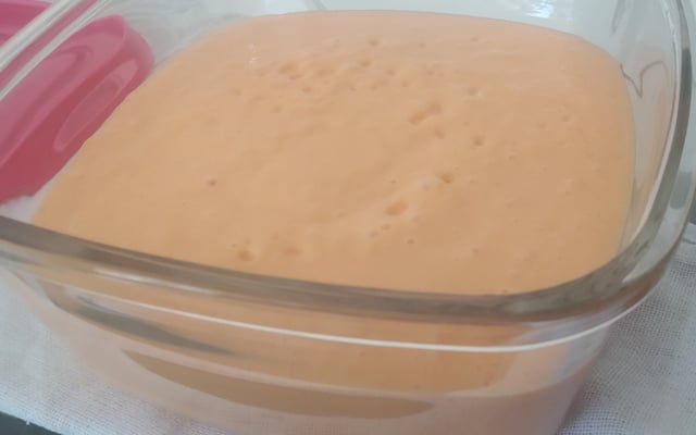 Mousse de Mamão Rápido