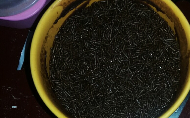 Bolo de caneca sem leite