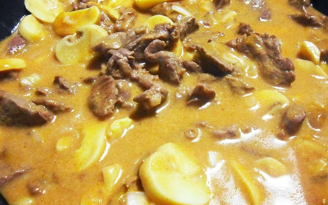 Strogonoff de carne (Tio Lando)