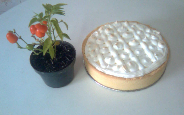 Torta maravilhosa de limão