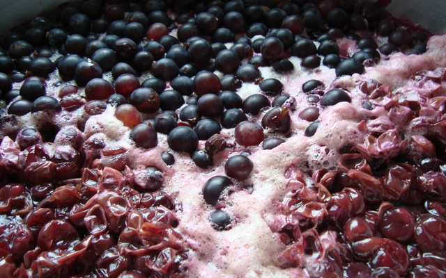 Suco de uva preta da Jussara