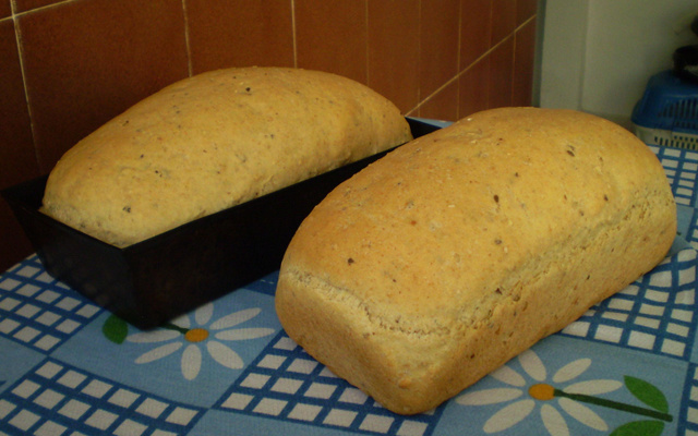Pão integral da Bazzo - com dicas