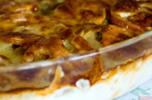 Frango com molho de requeijão