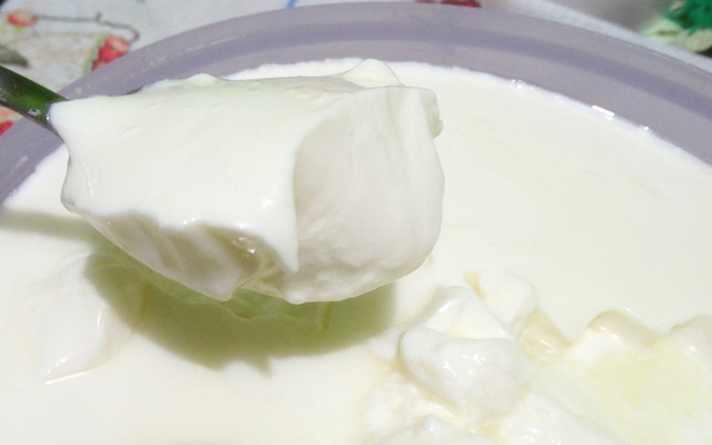 Iogurte de leite em pó