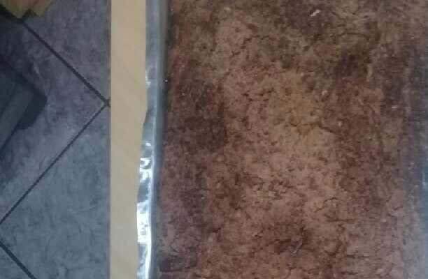 Cuca rápida do Gabriel 