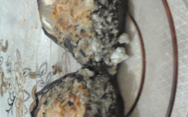 Berinjela recheada com ricota, esinafre e berinjela