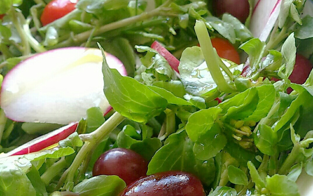 Asazuke de rabanete (conserva japonesa rápida de rabanete)