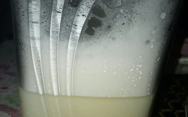 Leite fermentado (kefir)