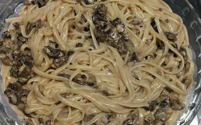 Fettuccine ao molho funghi secci