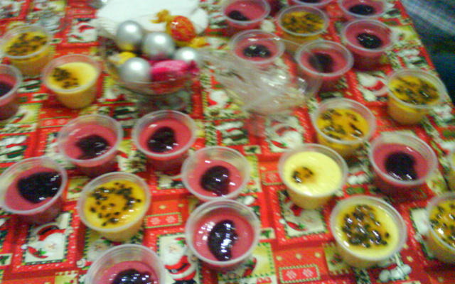 Mousse de frutas vermelhas (sem lactose)