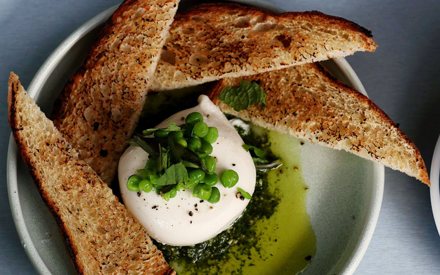 Burrata com molho pesto