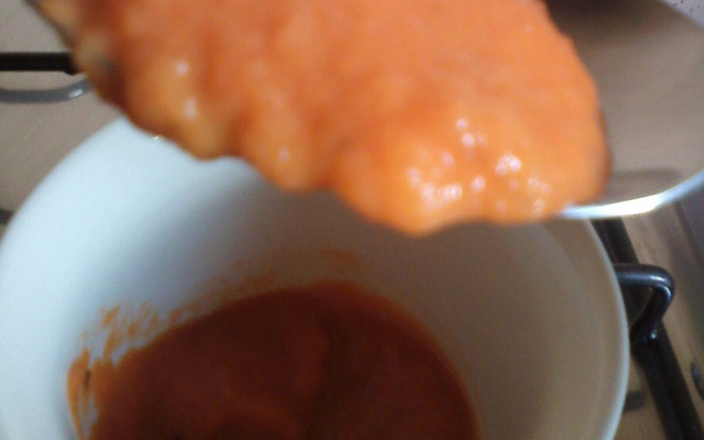 Extrato de tomate caseiro