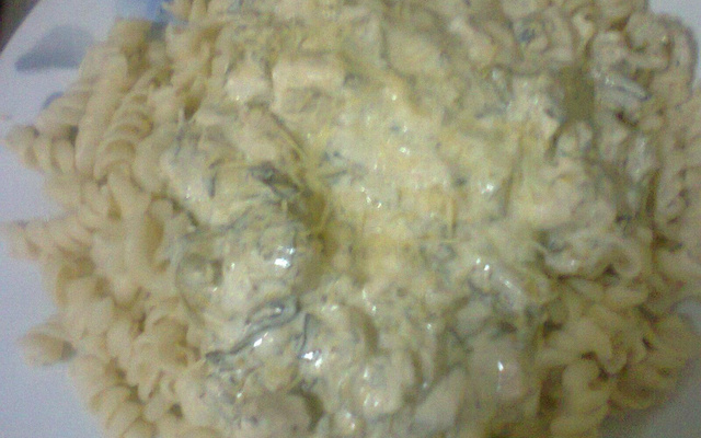 Parafuso com frango e creme de brócolis