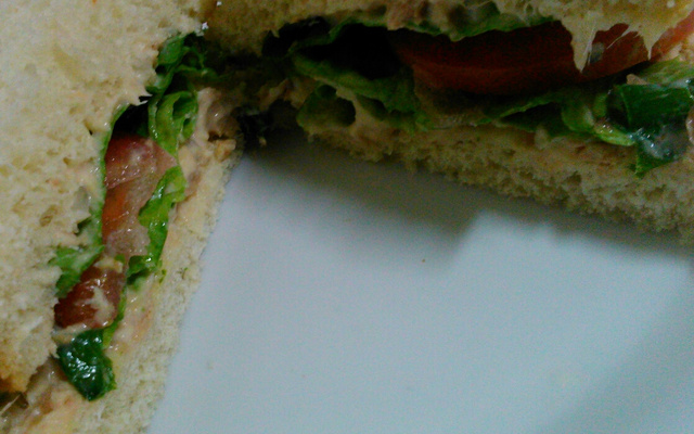 Sanduíche rápido de atum