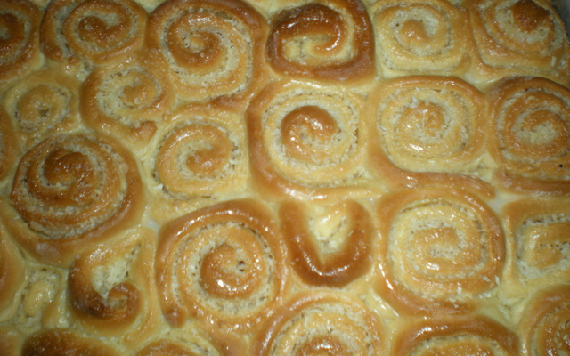 Caracóis de coco espetaculares