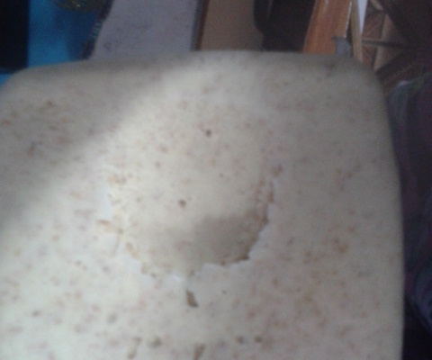 Pãozinho integral de aveia e suplemento proteico