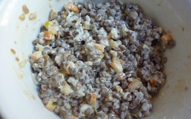 Salada de lentinha da Pisa